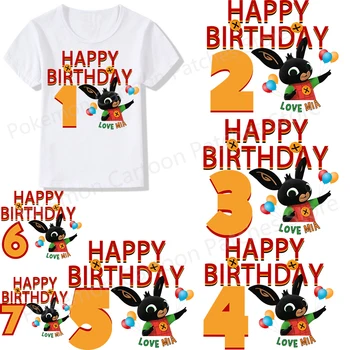 Bing Tavşan Eriyebilir Yama Sticker Çocuklar için Mutlu Doğum Günü Numaraları 1-9 Yıl Giysi ısı transferleri giyim için DIY T-shirt Hediye