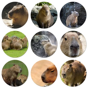Hayvan Komik Capybara Özel Teklif Simgeler rozet pimleri Dekorasyon Broş Metal Rozetleri Giysi Sırt Çantası Dekorasyon